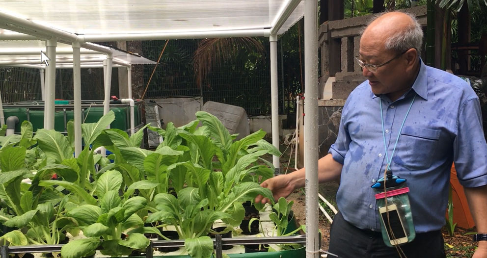 aquaponics